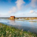 Straty wody w wyniku błędów projektowych – jak niewłaściwy dobór średnic rur generuje wycieki i turbulencje
